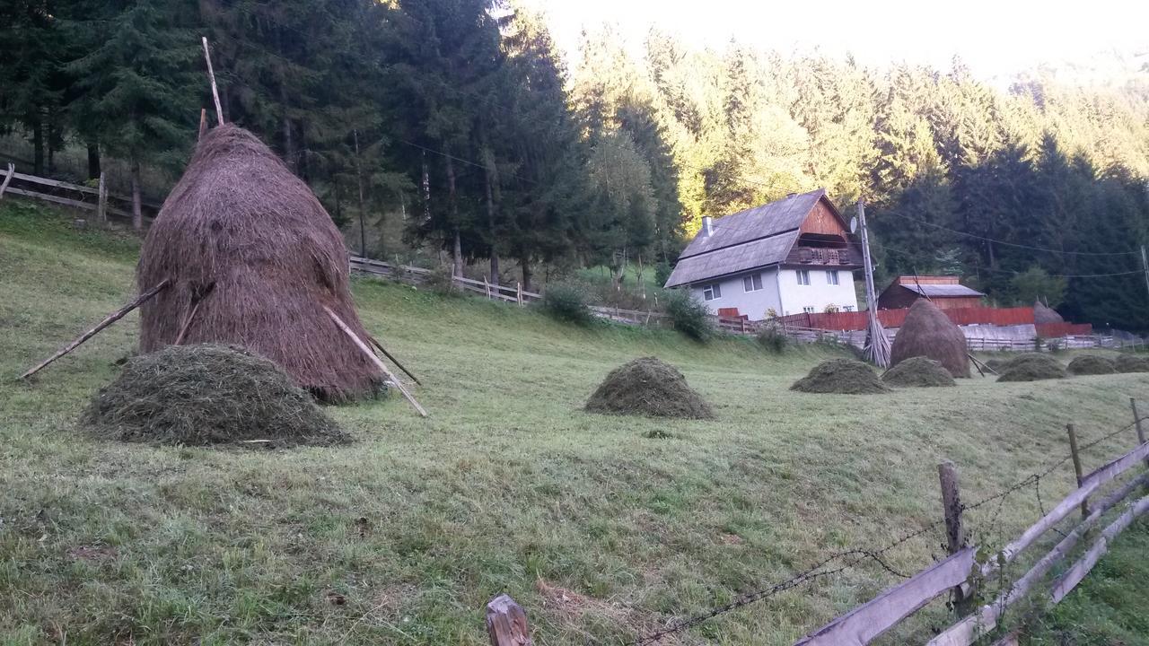 Cabana Aurora Villa Lepus Kültér fotó