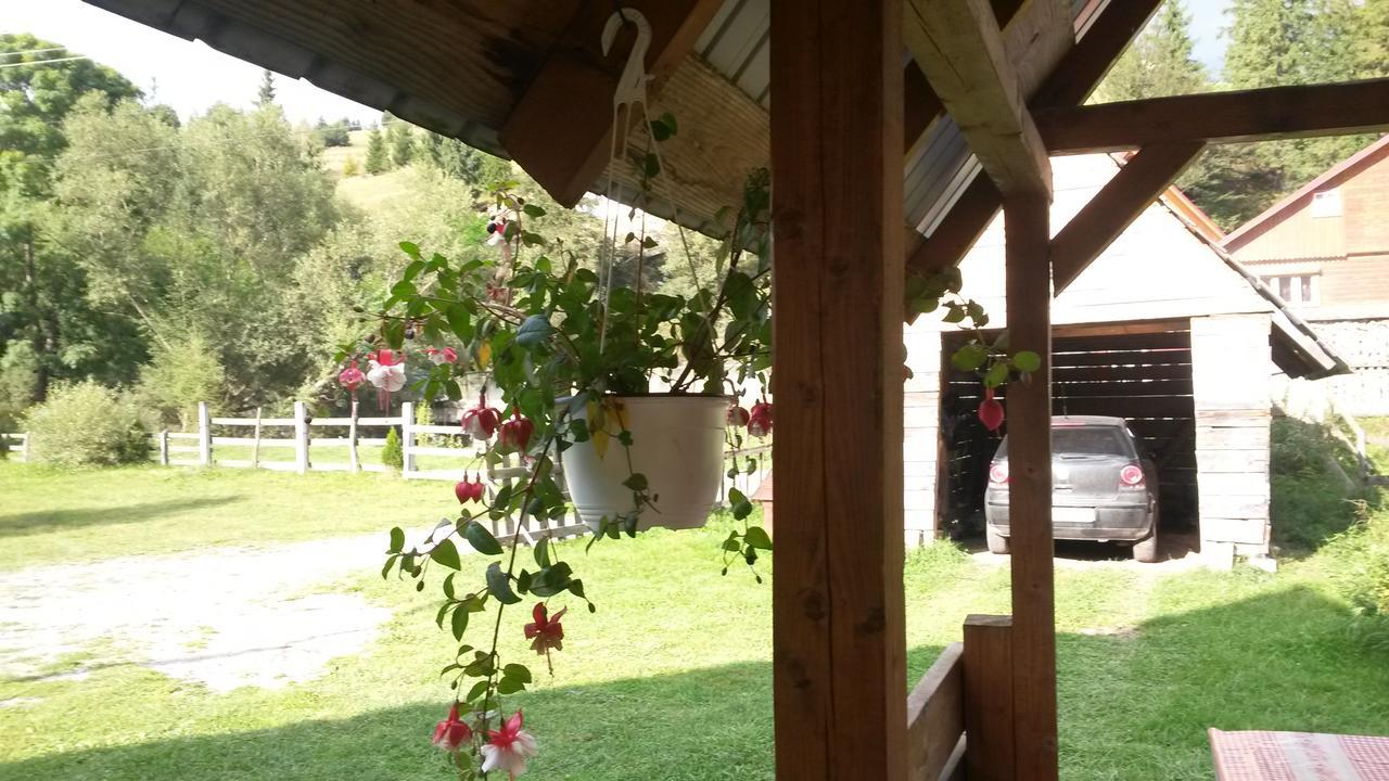 Cabana Aurora Villa Lepus Kültér fotó