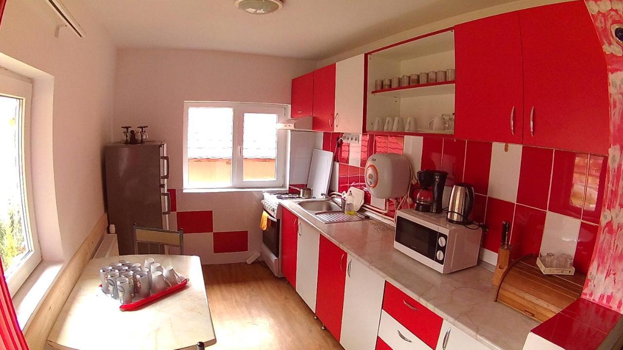 Cabana Aurora Villa Lepus Kültér fotó
