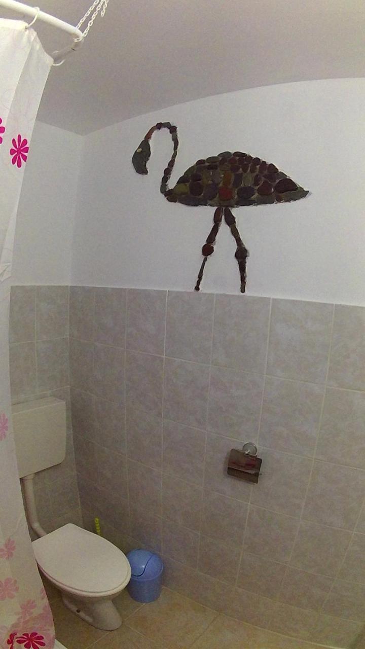 Cabana Aurora Villa Lepus Kültér fotó